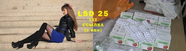 ГАЛЛЮЦИНОГЕННЫЕ ГРИБЫ Бугульма