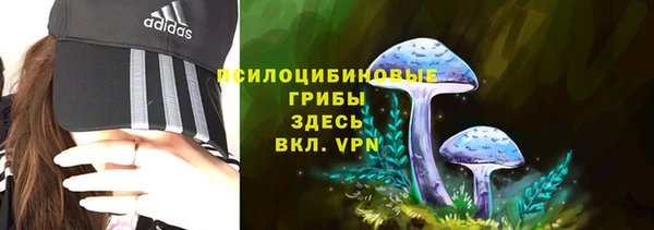 ГАЛЛЮЦИНОГЕННЫЕ ГРИБЫ Бугульма