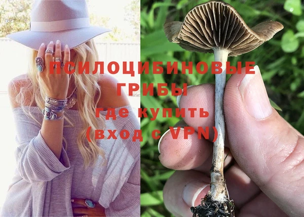 кокаин колумбия Бородино