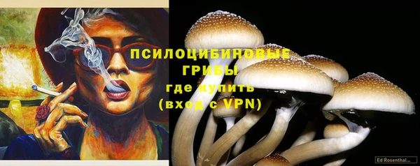 ГАЛЛЮЦИНОГЕННЫЕ ГРИБЫ Бугульма
