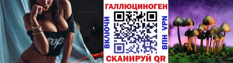 Галлюциногенные грибы ЛСД  Купить закладки  Гусь-Хрустальный 